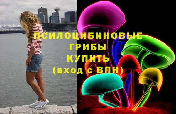 амф Арсеньев