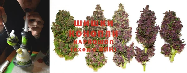 амф Арсеньев